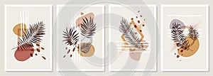 Collection of compositions with geometric shapes and exotic tropical leaves in pastel colors, trendy minimalistic vector posters, photo