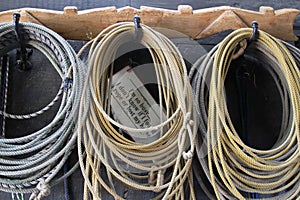 A Collection Of Cowboy Ropes Lariats Hanging In A Tack Room, Stock Photo Image photo