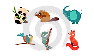 Collection of cute animals, panda bear, beaver, parrot, raccoon, fox vector Illustration on a white background