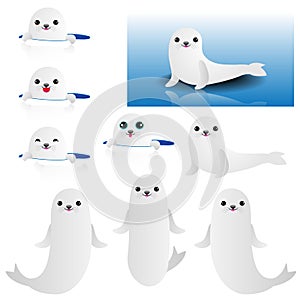 Collection of cute Baby Seal