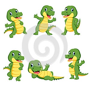 Collection of cute crocodile character cartoon