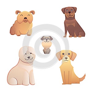 Collection cute different type of dogs small and big. Vector breed isolated set. Cartoon illustrations a happy doggy