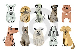 Collection of cute dogs. Set of 10 doodle pets on a white background