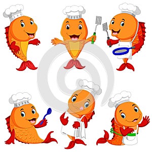 Collection of cute fish chef cartoon