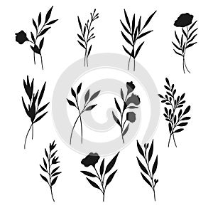 Collection of cute floral flower doodle isolated vector Stock Silhouettes