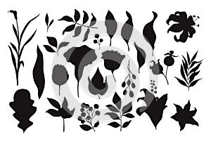 Collection of cute floral flower doodle isolated vector isolated silhouettes