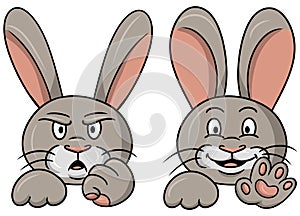 A collection of cute fluffy rabbits in cartoon style, cute rabbit paws and ears, a rabbit is happy and angry