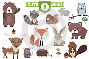 Collection of Cute Forest Animals