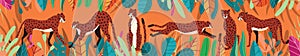 Collection of cute hand drawn cheetahs on orange tropical background, standing, stretching, running and walking with exotic plants