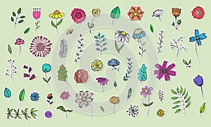 Collection of Cute Sketch Color Flowers stickers
