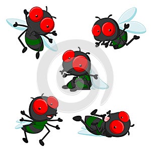 Collection of cute little cartoon flies