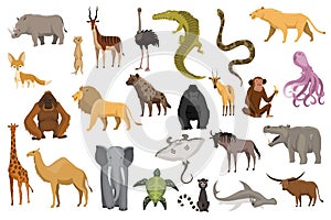 Collection of cute vector animals. Hand drawn animals which are common in Africa. Icon set isolated on a white