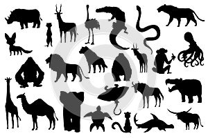 Collection of cute vector animals. Hand drawn silhouette animals which are common in Africa. Icon set isolated on a