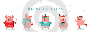 Collection of cute winter pigs. Happy New 2019 year. Symbol of the year in the Chinese calendar. Vector cartoon isolated