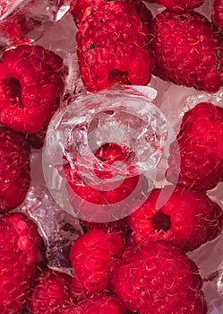 Collection of dark red fresh raspberries on clean ice cubes