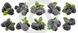 Collection of delicious ripe blackberries, cut out, isolated on transparent background.