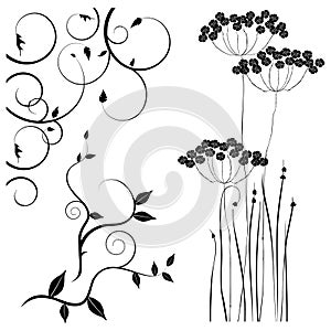 Collection for designers, meadow, plants vector set