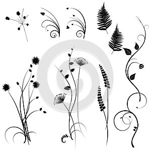 Collection for designers, meadow, plants vector set