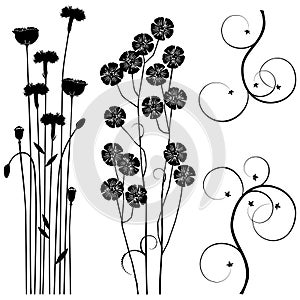 Collection for designers, meadow, plants vector set