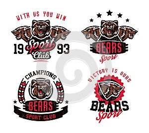A collection of designs for printing on T-shirts, an aggressive bear ready to attack. Predator forests, dangerous