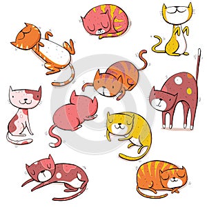 Collection of different cats in colors