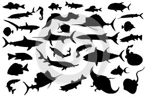 Collection of different fish silhouettes photo