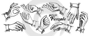 Collection of Different Gesture Set Vintage Vector