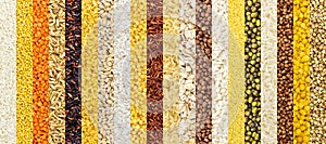 Collection of different groats backgrounds, cereals textures collection. Closeup