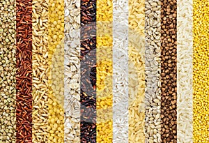 Collection of different groats backgrounds, cereals textures collection. Closeup