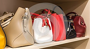 Collection of different handbags in woman closet