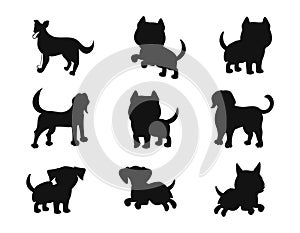 collection of different pose dog animals isolated Vector Silhouettes