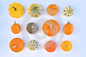 Collection of different pumpkins and squashes