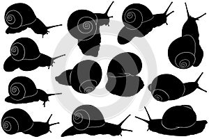 Collection of different snail silhouettes