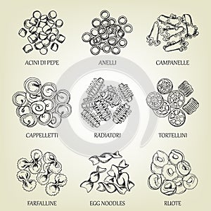 Collection of different sorts of macaroni. Realistic line art vector illustration with dough products.