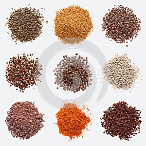 Collection of different spices on white background
