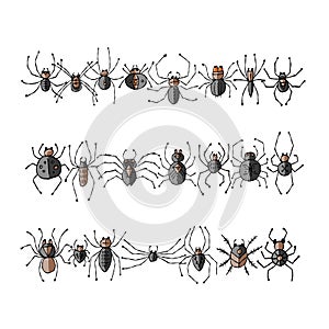 Collection of different spiders. Hand drawn style.