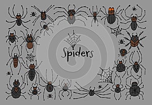 Collection of different spiders. Horizontal frame. Hand drawn style.