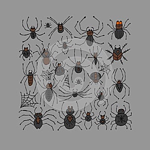 Collection of different spiders. Icons set. Hand drawn style.