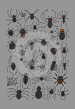 Collection of different spiders. Vertical frame. Hand drawn style.