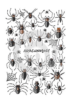 Collection of different spiders. Vertical frame. Hand drawn style.