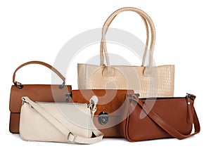 Collection of different stylish women`s bags on white background