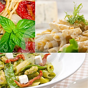 Collection of different type of Italian pasta collage