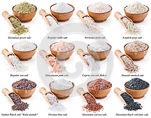 Collection of different types of salt isolated on