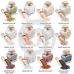 Collection of different types of salt isolated on