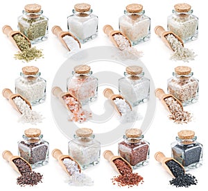 Collection of different types of salt isolated on