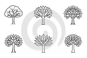Collection of Disjoint Trees: Acyclic Graph Structures Explained