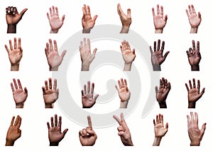 Collection of Diverse Hand Gestures on White Background