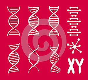 Collection of DNA spiral shapes