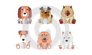 Collection of dogs of different breeds, cartoon animals pets vector Illustration on a white background