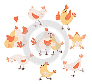 Collection of domestic birds. Cute rooster, hen and little chick in eggshell. Vector illustration. Isolated farm birds